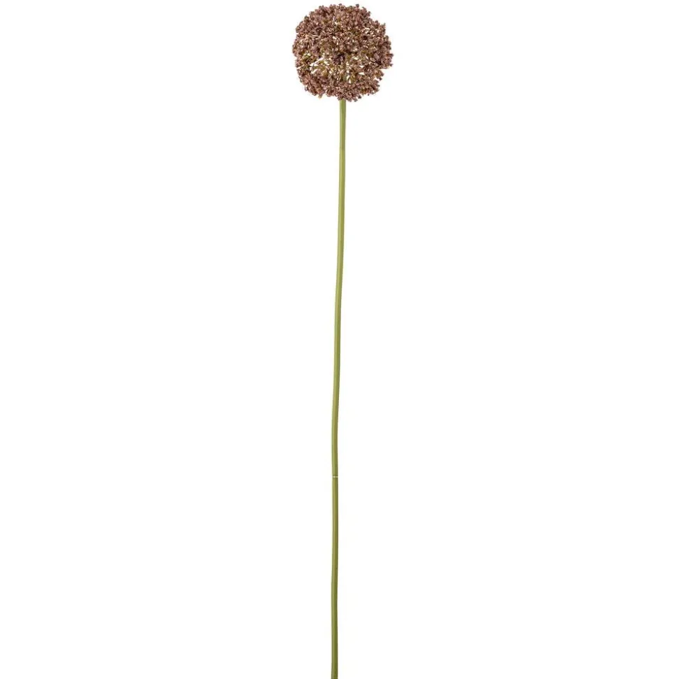 Bloomingville koristeoksa Allium ruskea