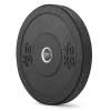 Gymstick levypaino Hi-Impact Bumper 10 kg