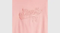 Levi's t-paita Graphic Boxy t-shirt