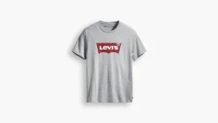 Levi's t-paita Graphic Set-In Neck