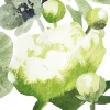 Pentik servietti 33 cm Freesia vihreä