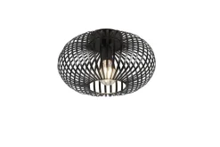 Trio Lighting kattovalaisin Johann 30 cm E27 mattamusta