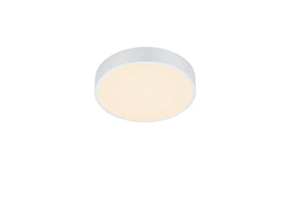 Trio Lighting LED kattovalaisin Waco 30 cm mattavalkoinen