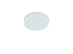 Trio Lighting LED kattovalaisin Waco 30 cm mattavalkoinen