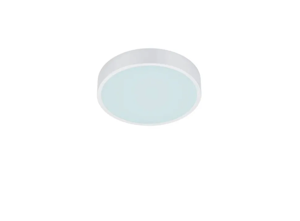Trio Lighting LED kattovalaisin Waco 30 cm mattavalkoinen