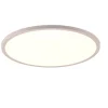 Trio Lighting LED kattovalaisin Aureo 40 cm mattavalkoinen R
