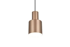 Trio Lighting riippuvalaisin Agudo 1-os E27 kahvinruskea